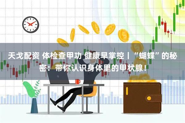 天戈配资 体检查甲功 健康早掌控丨“蝴蝶”的秘密：带你认识身体里的甲状腺！