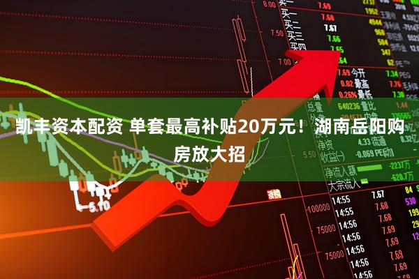 凯丰资本配资 单套最高补贴20万元！湖南岳阳购房放大招