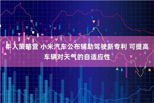 牛人策略营 小米汽车公布辅助驾驶新专利 可提高车辆对天气的自适应性
