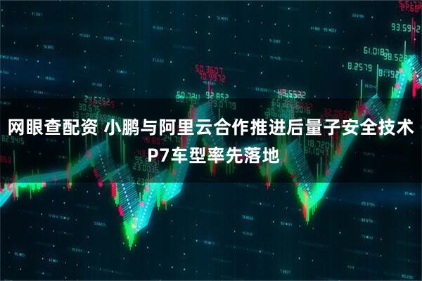 网眼查配资 小鹏与阿里云合作推进后量子安全技术 P7车型率先落地