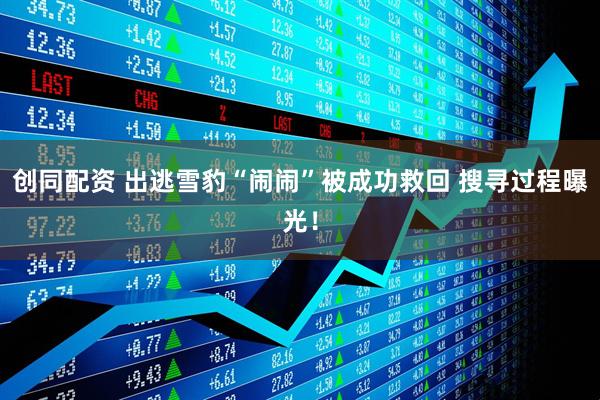 创同配资 出逃雪豹“闹闹”被成功救回 搜寻过程曝光！