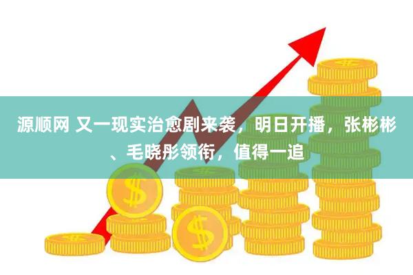 源顺网 又一现实治愈剧来袭，明日开播，张彬彬、毛晓彤领衔，值得一追