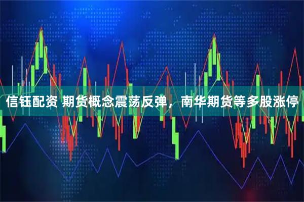 信钰配资 期货概念震荡反弹，南华期货等多股涨停