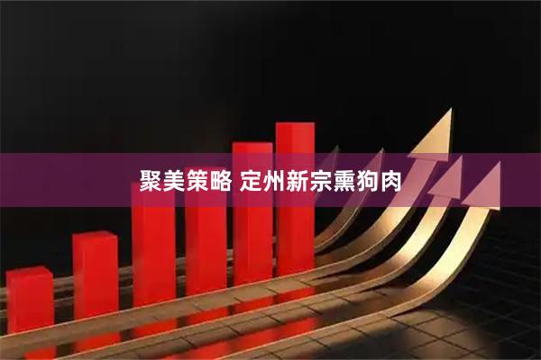 聚美策略 定州新宗熏狗肉